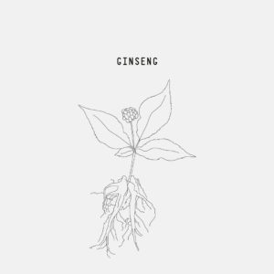 ginseng-repair-mix-Greensoho